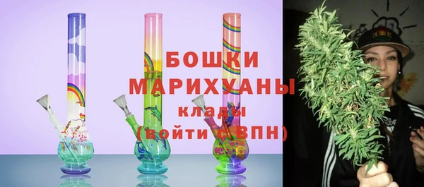 мдпв Верея