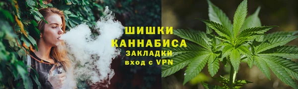 мдпв Верея