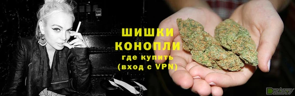 мдпв Верея