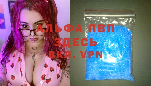 мдпв Верея