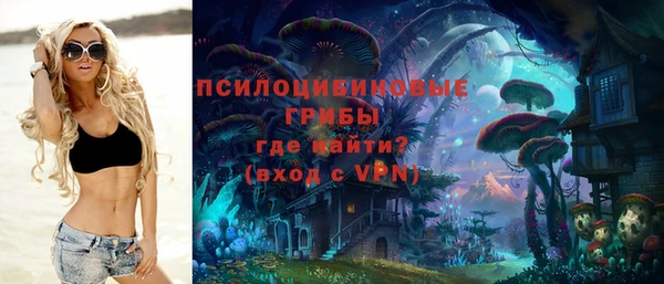 мдпв Верея