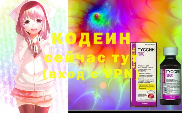 мдпв Верея