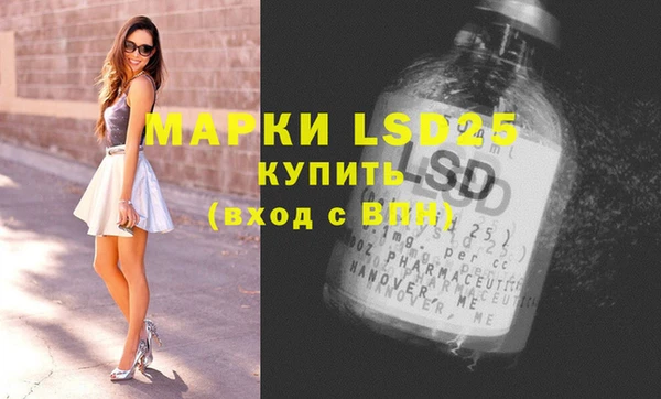 мдпв Верея