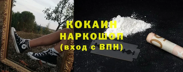 мдпв Верея