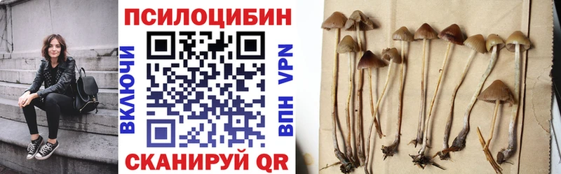 Галлюциногенные грибы Cubensis  mega рабочий сайт  Луза 